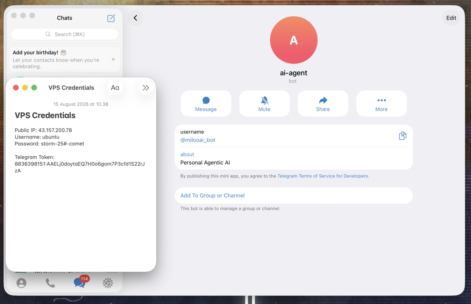 Buka profil bot yang baru dibuat