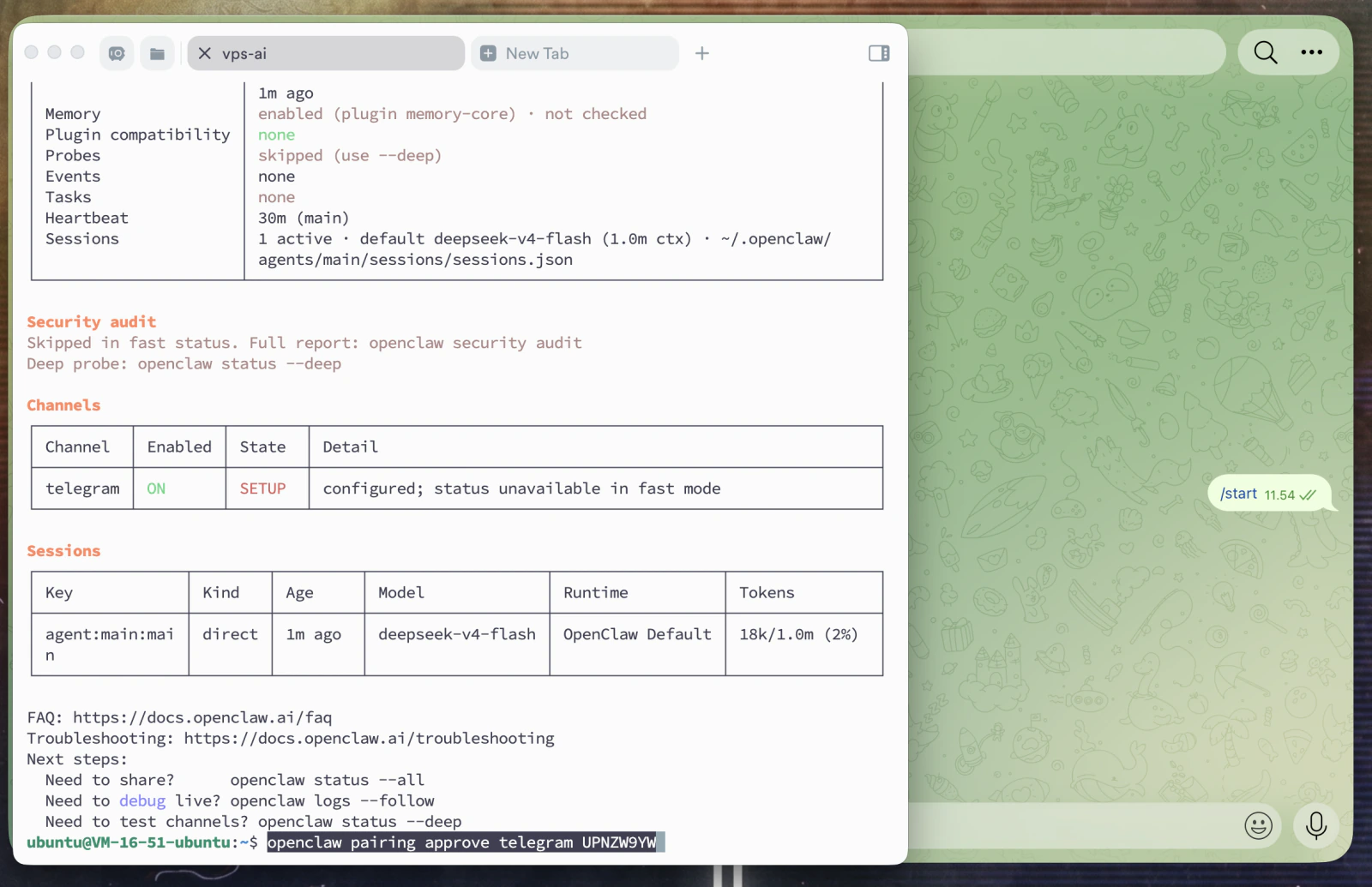 Jalankan command pairing di terminal VPS